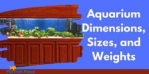 Aquarium Dimensions Sizes Weights