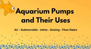 Aquarium Pumps and Their Uses