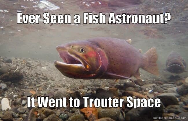 A joke about trout in space