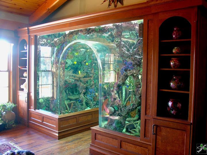 Fish Tank Entryway - Amazing Fish Tanks