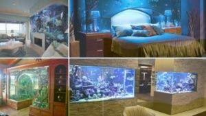 Grid showing 4 amazing fish tanks from this post