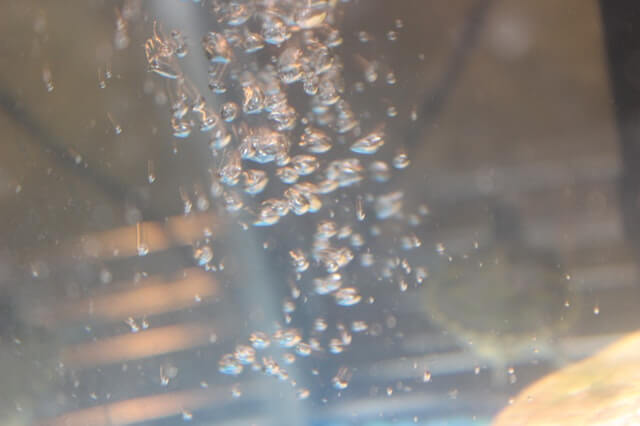 Aquarium bubbles