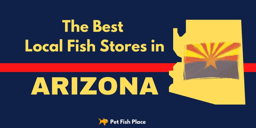 Best Stores Arizona Feature