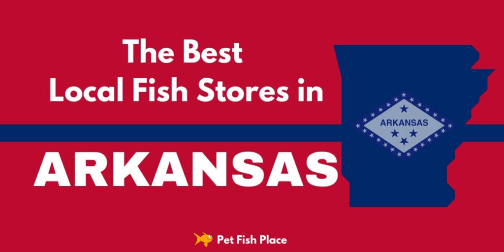 Best Local Fish Stores in Arkansas