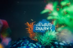 Fish Tank Header