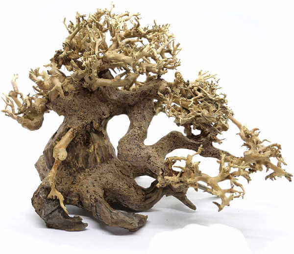 Bonsai Driftwood