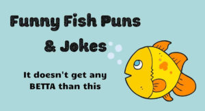 Funny Fish Puns and Jokes Header