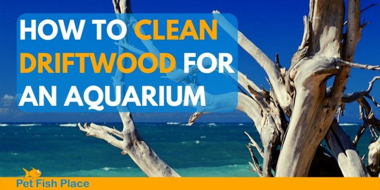 How to Clean Driftwood for an Aquarium