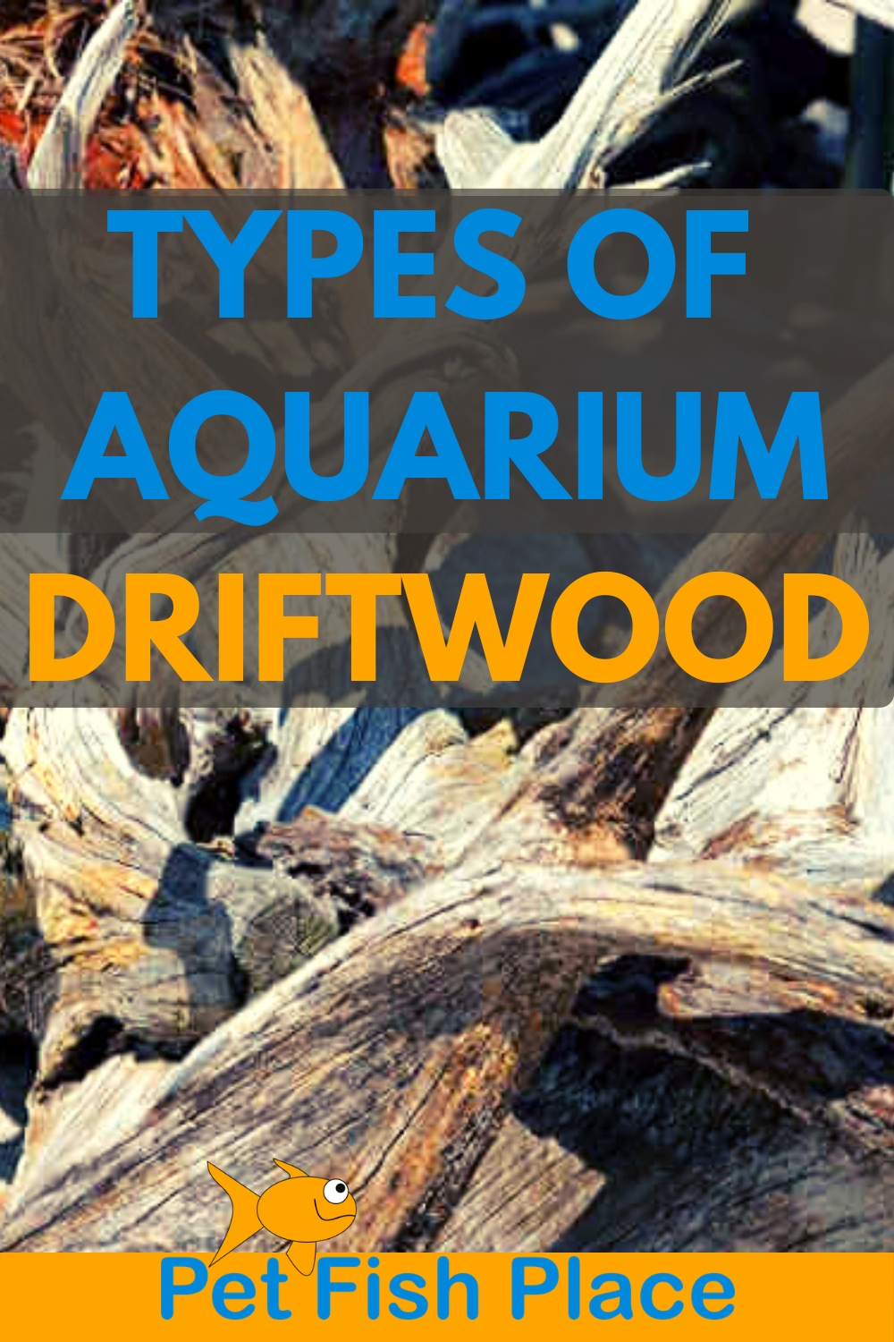 Types of aquarium driftwood Pinterest