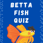 Betta Fish Quiz Pin