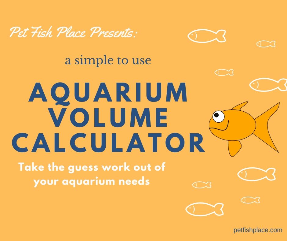 volume calculator fish tank