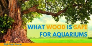 What wood is safe for aquariums