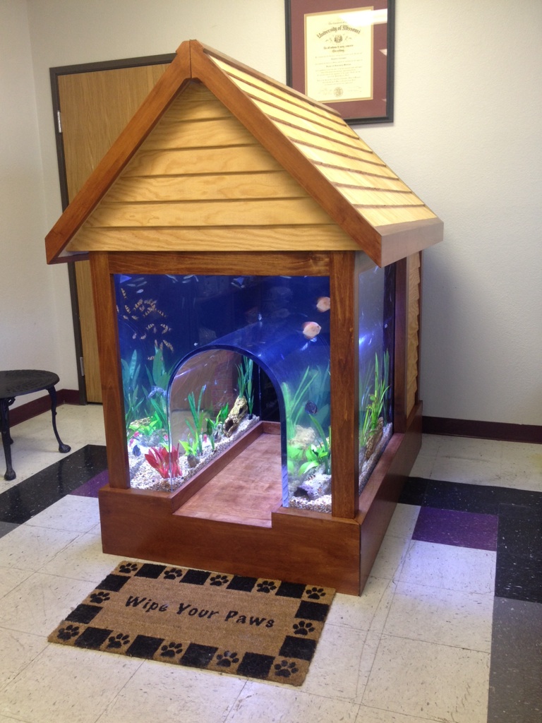 Doghouse Aquarium - Amazing Fish Tanks