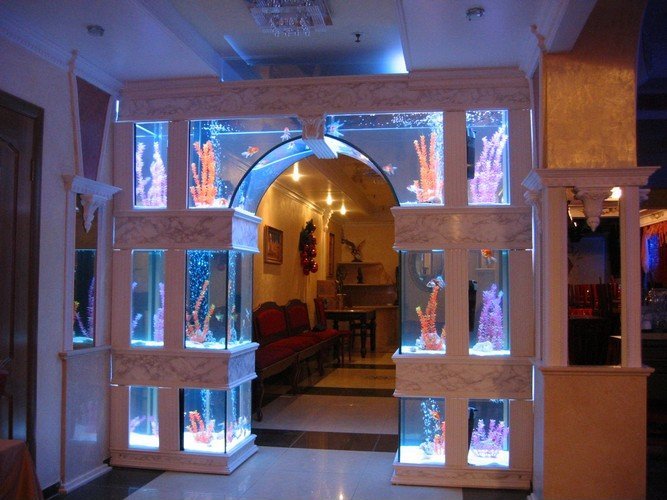 Arched Tanks - Amazing Fish Tanks