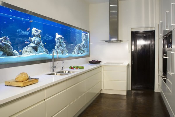 Backsplash Aquarium - Amazing Fish Tanks