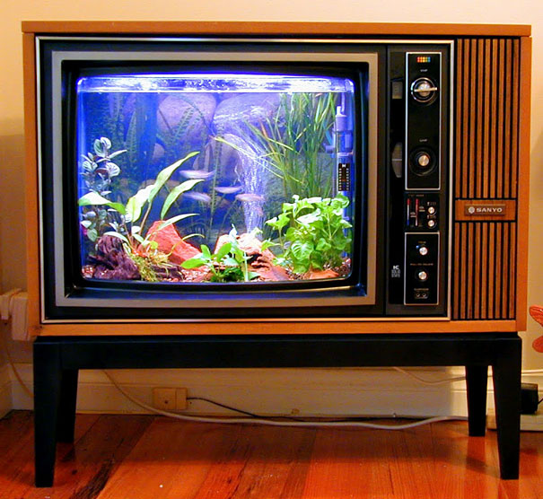 Fish Tank TV - Amazing Fish Tanks
