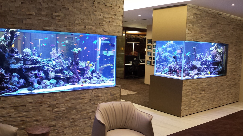 Double Wall Fish Tank - Amazing Fish Tanks